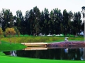 golf_km_lakeview_m4